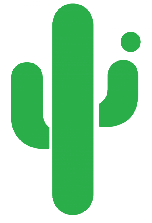 CactoNext — início